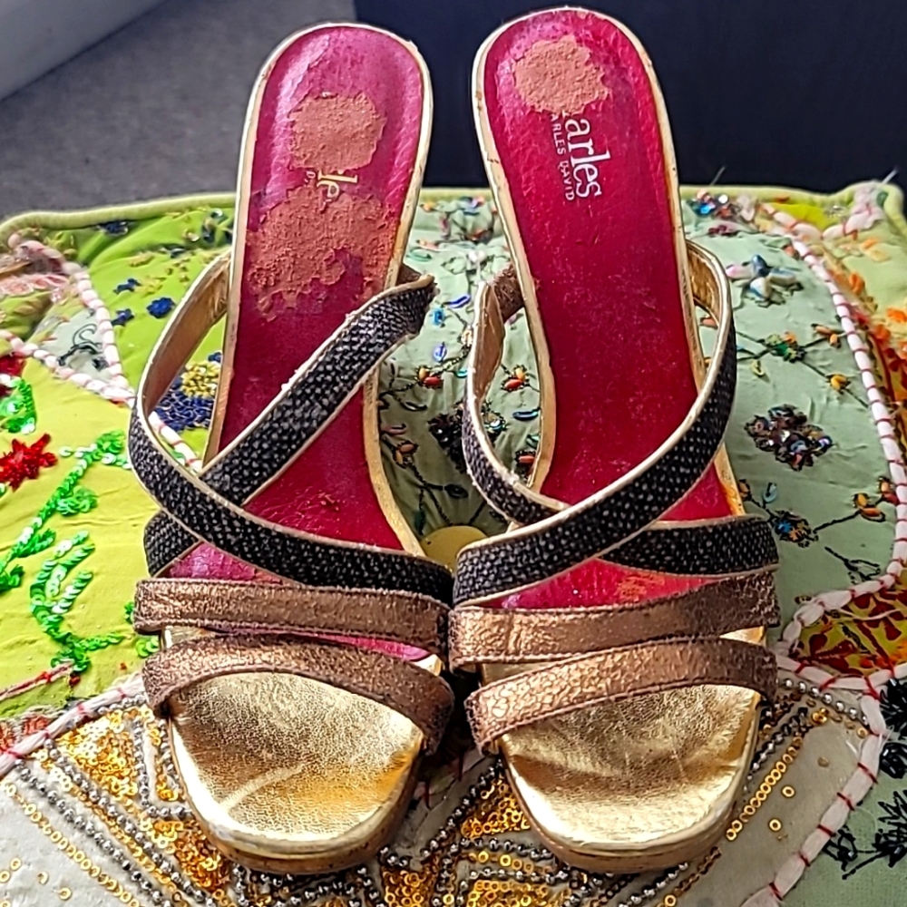 Charles By Charles David NWOT Strappy Wedge Slip On Sandal